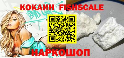 индика Ставрополь