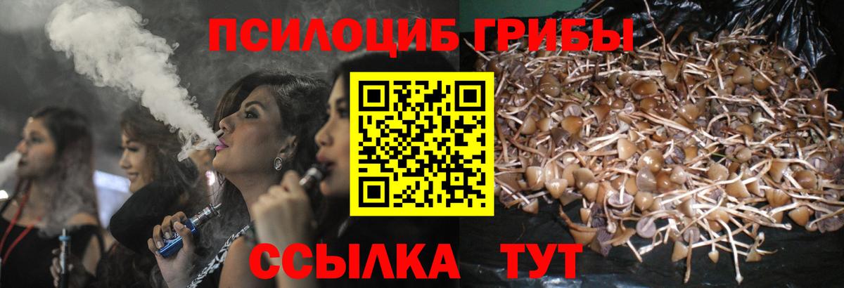 Галлюциногенные грибы Cubensis  Вход с VPN  Мурманск 